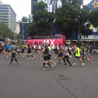 Bus turístico Ciudad de México 4