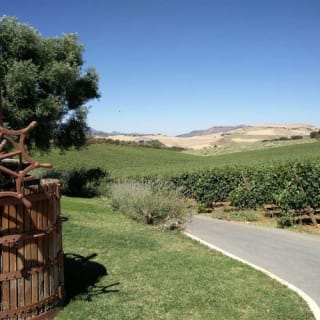 Bodega Doña Felisa: Visita guiada y cata de vinos o comida 9