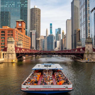 Chicago: Crucero por el Río de la Arquitectura desde la Avenida Michigan 14