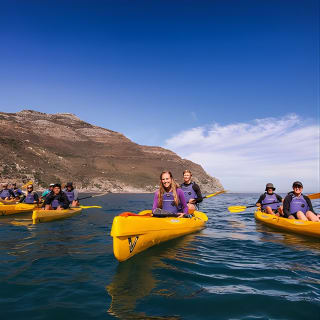 Kayak Chapman's Peak and Karbonkelberg in Hout Bay 4