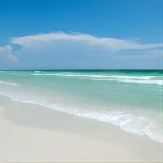 Snorkeling and Dolphin Watching Experience in Destin 6