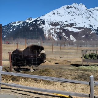 Wildlife Conservation Center with Lunch & Local Beer Sampling 6
