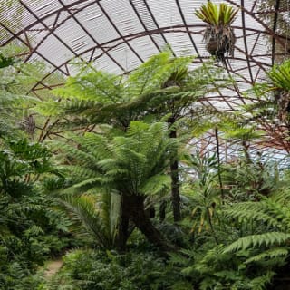 Rippon Lea Estate: Entry ticket 10