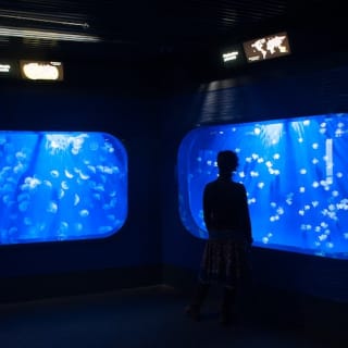 Genova Sea Pass 4