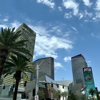 Las Vegas Neon and Secrets: Self-Guided Audio Tour 12