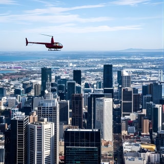 Melbourne City Scenic Helicopter Ride 6