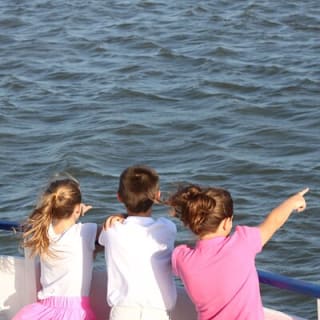 1.5-Hour Charleston Harbor Cruise with Live Narration 2