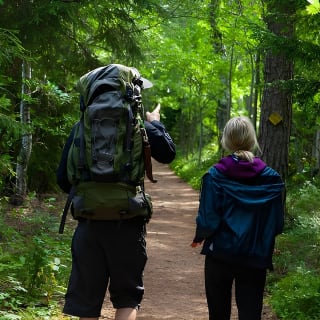 Magical Taiga Forest Hike con Almuerzo y Transporte 4