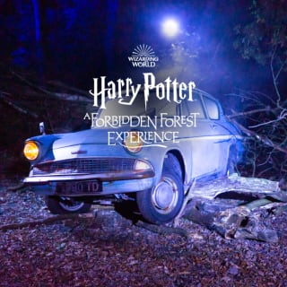 Harry Potter: A Forbidden Forest Experience 3