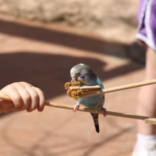 Peoria Zoo 3