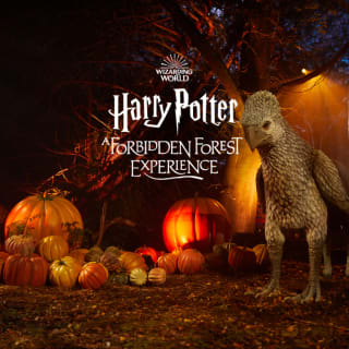 Harry Potter: A Forbidden Forest Experience 4