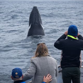 Wilsons Prom Whale Cruise 6