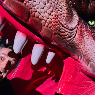 Dinosauri: l’odissea immersiva 11