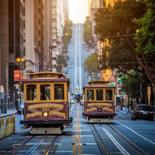 San Francisco in a Day: Golden Gate Bridge, Chinatown & Skyline Bay Cruise 3