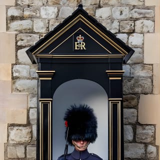Ultimate Royal London: Torre de Londres & Visita a la Ciudad de Westminster 6