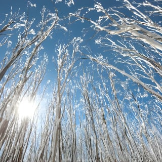 Lake Mountain Snow Trip including Yarra Valley Chocolaterie from Melbourne 5