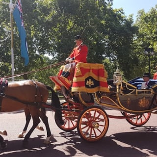 London: Kids Free Guided City Tour 48