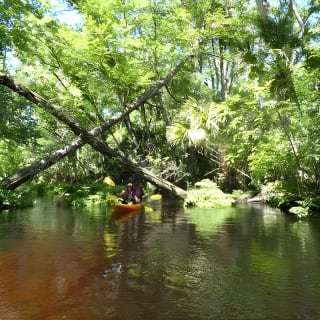 Exclusive Nature Escape Kayak Adventure sur Blackwater Creek 17