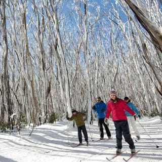 Melbourne Snow Trip to Lake Mountain with Chocolates visit to a Waterfall 3
