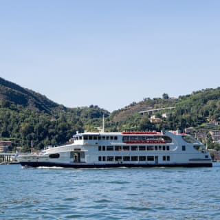 Cómo: Visita guiada por la ciudad y crucero por el lago 40