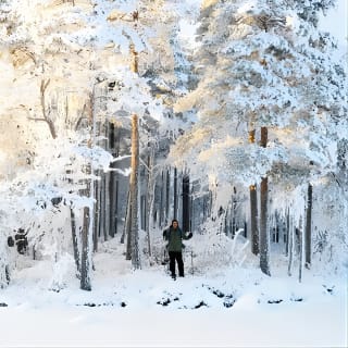 Winter Wonderland Hike in a National Park  15