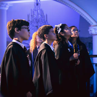 Harry Potter™: Um Grande Baile Tribruxo 5