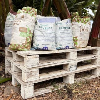 Tenerife: Excursión a la Plantación de Plátanos y Bodega + Cata de Vinos 4