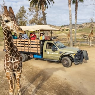 San Diego Zoo & Safari Park: Pass 2 visite 7