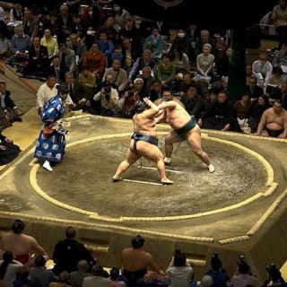 東京で大相撲観戦体験 5