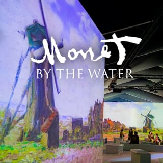 Monet by The Water - Santiago 2
