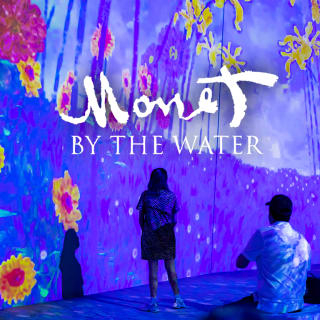 Monet by The Water - Santiago 1