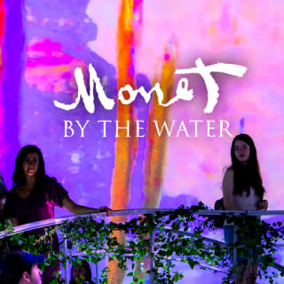 Monet by The Water - Santiago 3
