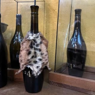 Tenerife: Excursión a la Plantación de Plátanos y Bodega + Cata de Vinos 7