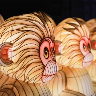 Le Japon en Lumières - Festival des Lanternes au Jardin d’Acclimatation - Carte Cadeau 6