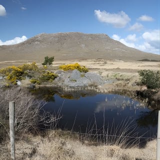 From Galway: Guided tour of Connemara with 3 hour stop at Connemara National Pk. 17