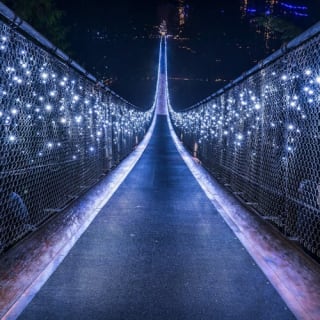 Vancouver: Scenic Twilight Tour with Capilano Park and Grouse Mountain 3