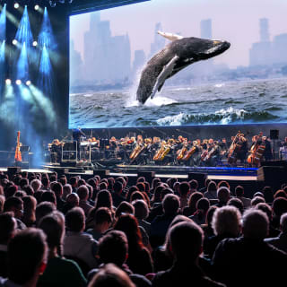 Blue Planet III Live in Concert - London Waitlist 4
