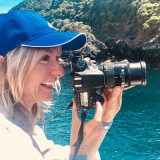 Half Day Dolphin & Wildlife Cruise - Tauranga 6