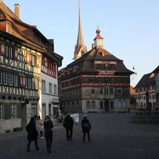 Rheinfälle und Stein am Rhein Tour inkl. Guide 3