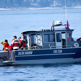 Ultimate Marine Whale & Wildlife Tour 18