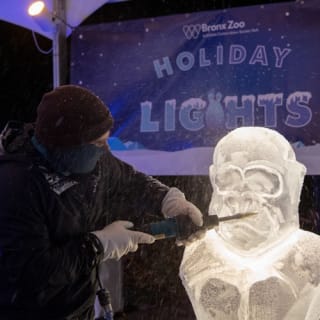 Bronx Zoo: Holiday Lights Tickets 24