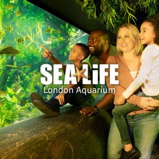 SEA LIFE London Aquarium 2