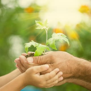Día mundial del medioambiente 1 1
