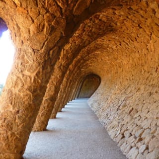 Parco Güell: Tour guidato 13