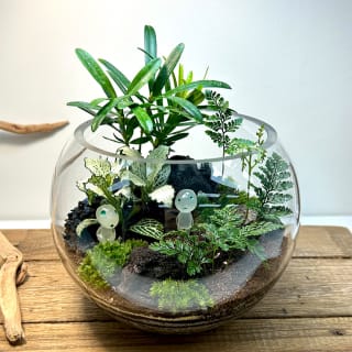 Ich bin Mos: Kleine Oase, Terrarium-Klasse 4
