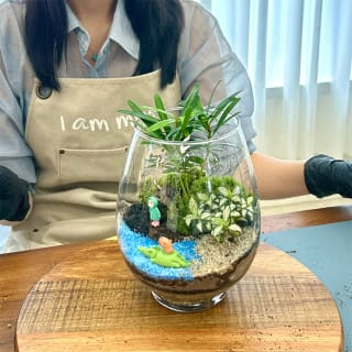 Ich bin Mos: Kleine Oase, Terrarium-Klasse 5