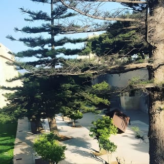 Mdina and Rabat Walking Tour inc. Catacombs and St. Paul's Grotto 4