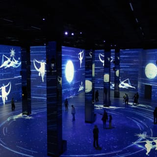 Kosmos, Die immersive Reise ins All im Port des Lumières 5