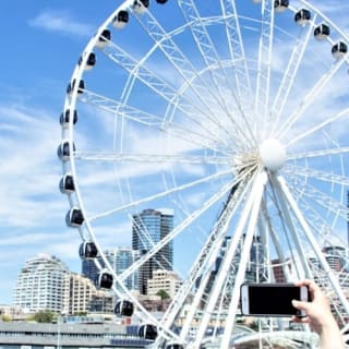 Seattle Harbor Cruise 16