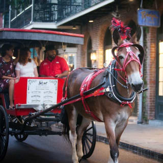 French Quarter Ghost Tour by Mule Drawn Carriage 5